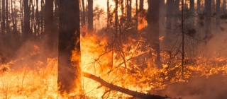 El Departamento de Seguridad Nacional comparte el balance de la campaña de incendios forestales