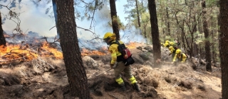 El Cabido de Tenerife da por extinguido el incendio forestal