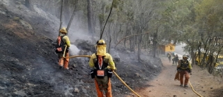 El Cabildo de Tenerife trabaja en la reactivación del incendio forestal