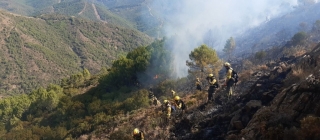 El Gobierno aprueba el anteproyecto de ley básica de los bomberos forestales
