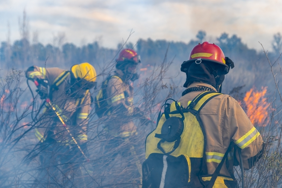 El Gobierno aprueba el nuevo estatuto para los bomberos forestales