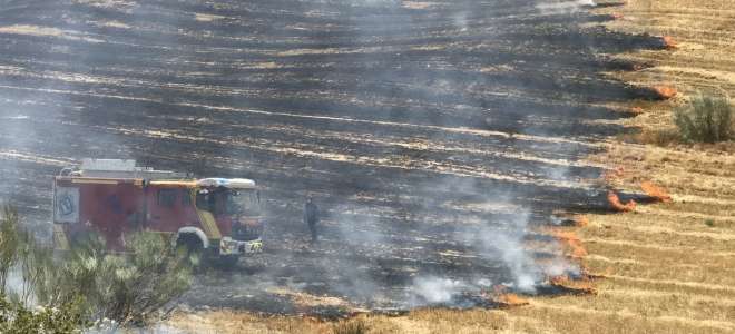 Reportaje: Incendios de pastos y vegetación 