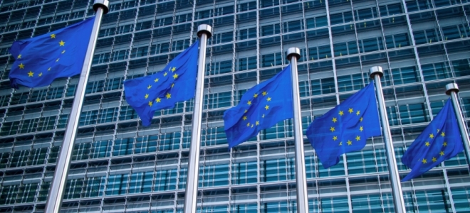 La Comisión Europea propone un seguimiento detallado de la situación forestal